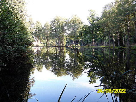 3.Eckhardt-Teiche_September_2022.JPG
