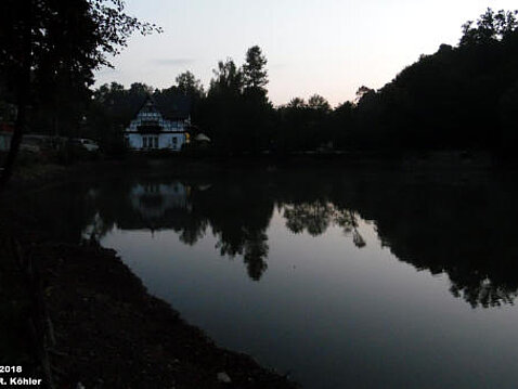 Wassermangel im Eckhardtteich 04.08.2018