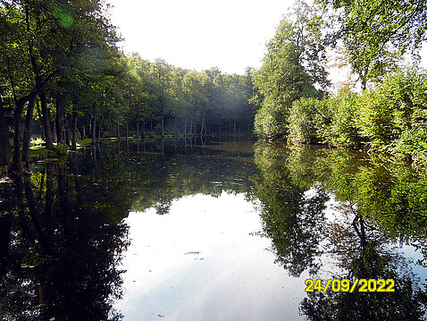 5.Eckhardt-Teiche_September_2022.JPG