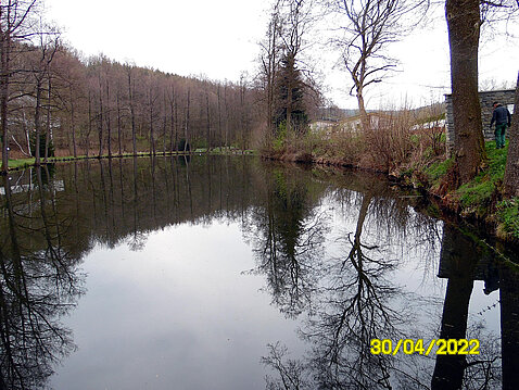 2.Eckhardt-Teiche_April_2022.JPG