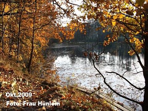 Eckhardt-Teiche Oktober 2009