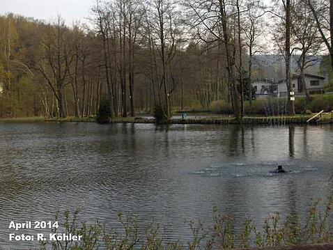Eckhardt-Teiche April 2014