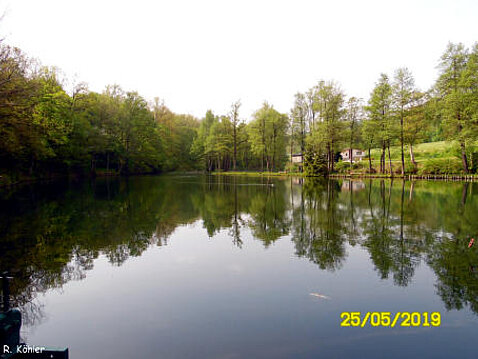 Eckhardt-Teiche Mai 2019