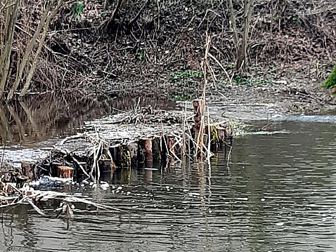 Hochwasser Eckhardt-Teich_24._Dezember_2023