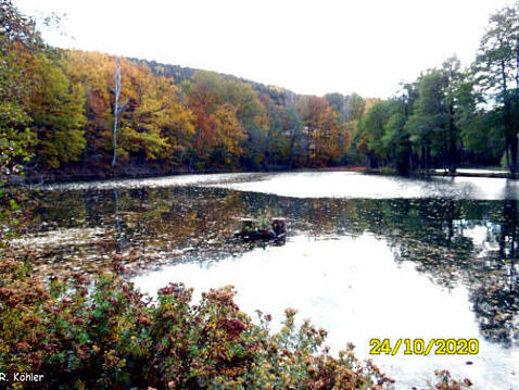 Eckhardt-Teiche Oktober 2020