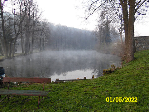 1.Eckhardt-Teiche_Mai_2022.JPG