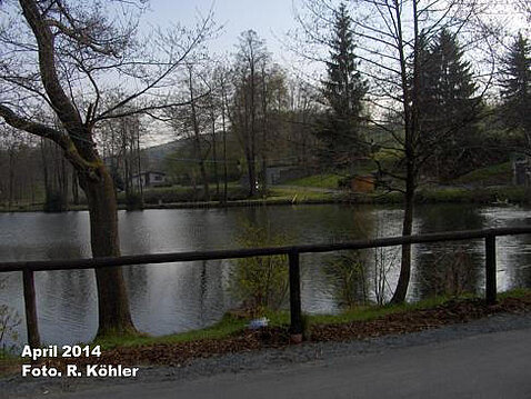 Eckhardt-Teiche April 2014