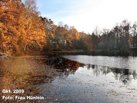 Eckhardt-Teiche Oktober 2009