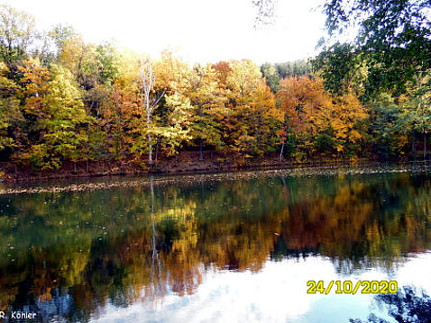Eckhardt-Teiche Oktober 2020