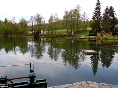 Eckhardt-Teiche Mai 2018