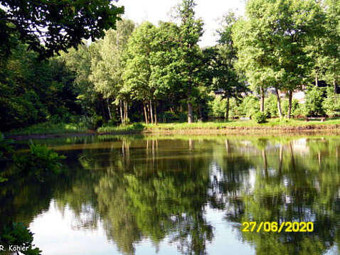 Eckhardt-Teiche Juni 2020