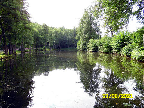 3.Eckhardt-Teiche_August_2021