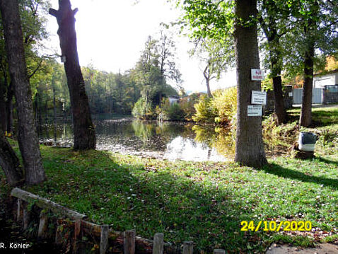 Eckhardt-Teiche Oktober 2020