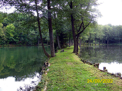 6.Eckhardt-Teiche_September_2022.JPG