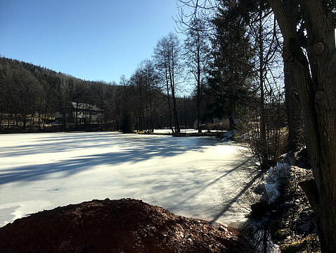 1.Eckhardt-Teiche_Februar_2021