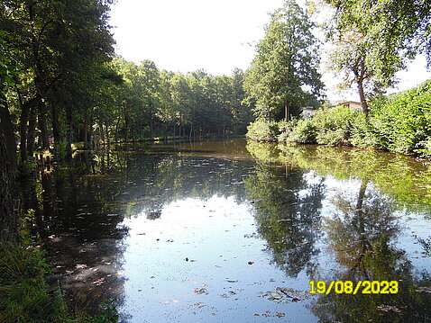 Eckhardt-Teich_19._August_2023