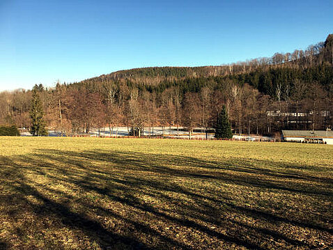 3.Eckhardt-Teiche_Februar_2021