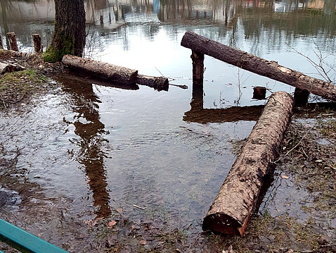 Hochwasser Eckhardt-Teich_24._Dezember_2023