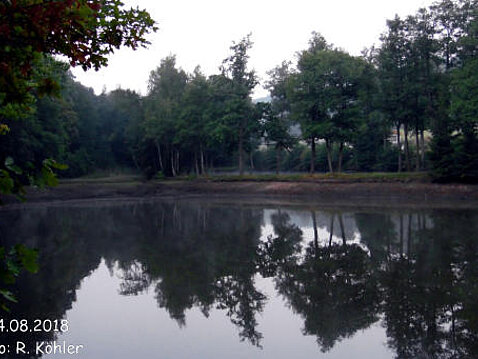 Wassermangel im Eckhardtteich 04.08.2018