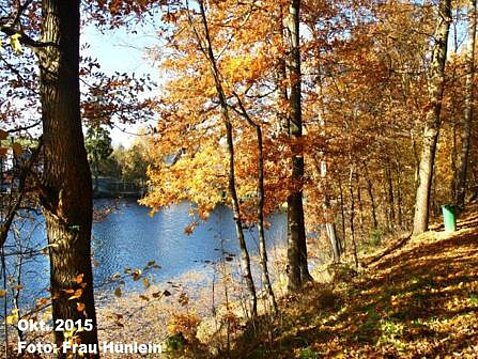 Eckhardt-Teiche Oktober 2015