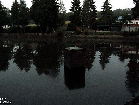 Wassermangel im Eckhardtteich 04.08.2018