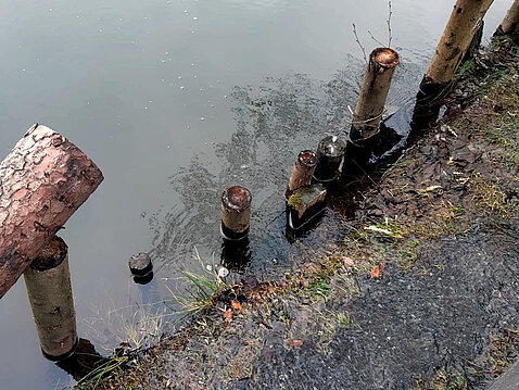 Hochwasser Eckhardt-Teich_24._Dezember_2023