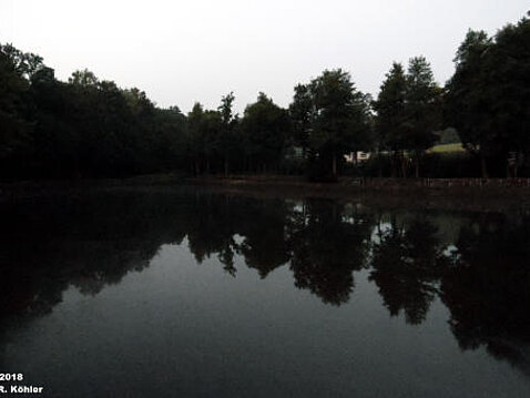 Wassermangel im Eckhardtteich 04.08.2018