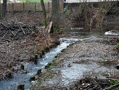 Hochwasser Eckhardt-Teich_24._Dezember_2023