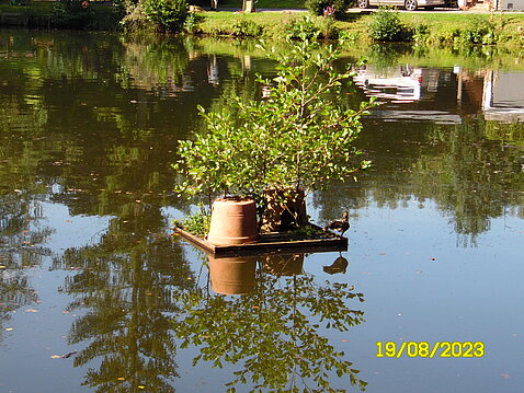 Eckhardt-Teich_19._August_2023