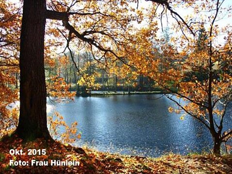 Eckhardt-Teiche Oktober 2015