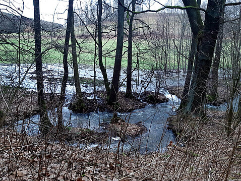 Hochwasser Eckhardt-Teich_24._Dezember_2023