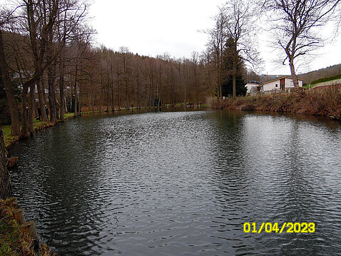 Eckhardt-Teich_01.April_2023