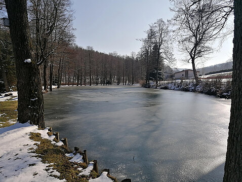 Eckhardt-Teiche_01.März_2023