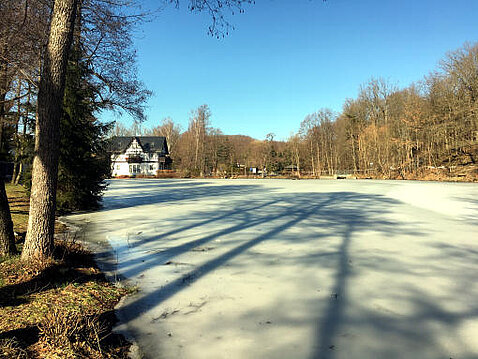 2.Eckhardt-Teiche_Februar_2021