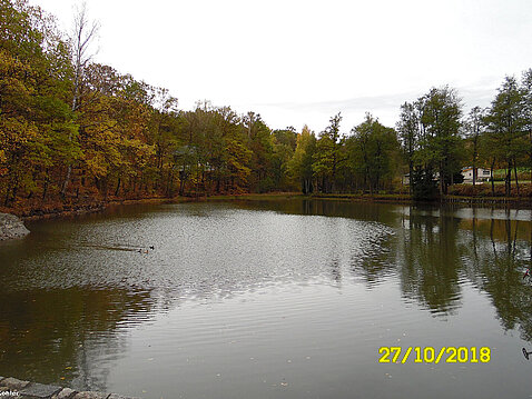 Eckhardt-Teiche Oktober 2018