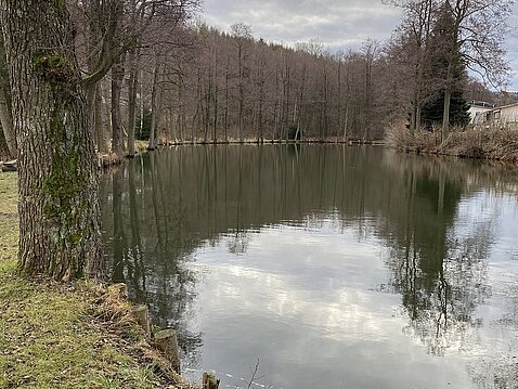 Eckhardt-Teich_31._Dezember_2023