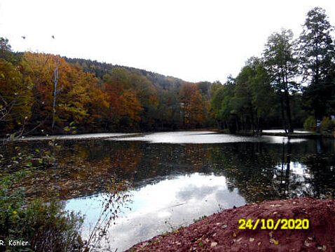 Eckhardt-Teiche Oktober 2020
