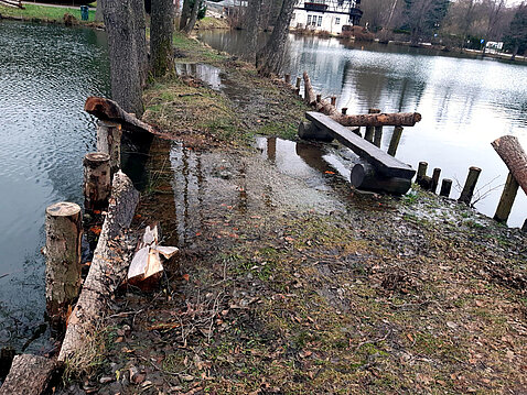 Hochwasser Eckhardt-Teich_24._Dezember_2023