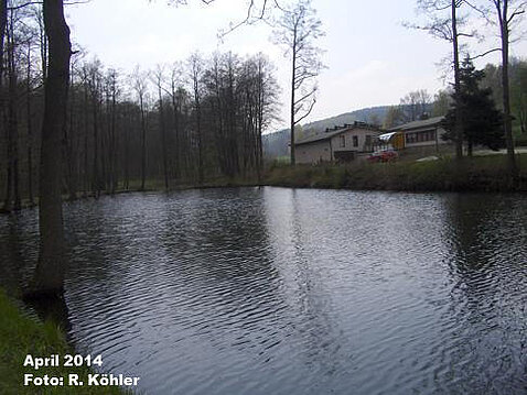 Eckhardt-Teiche April 2014