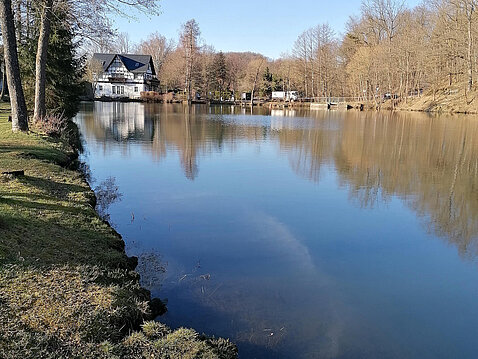 Eckhardt-Teiche_16.März_2023