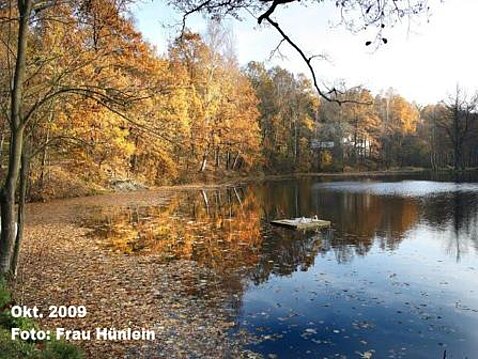 Eckhardt-Teiche Oktober 2009