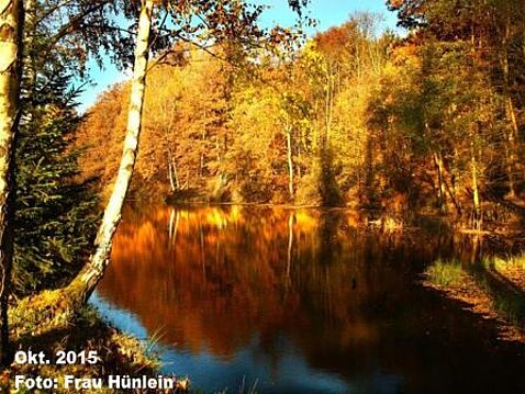 Eckhardt-Teiche Oktober 2015