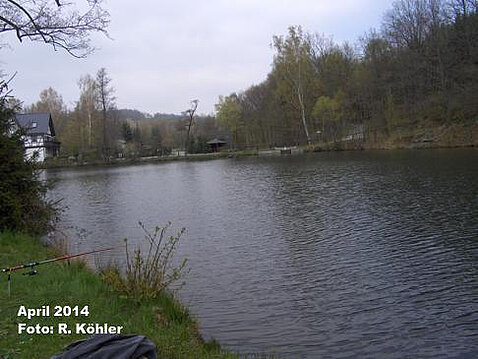Eckhardt-Teiche April 2014