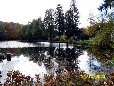 Eckhardt-Teiche Oktober 2020