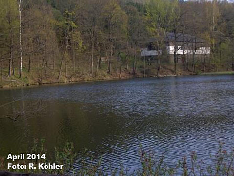 Eckhardt-Teiche April 2014