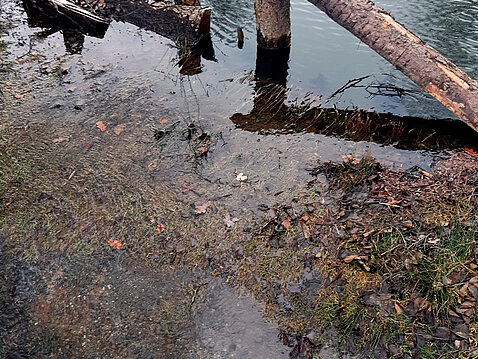 Hochwasser Eckhardt-Teich_24._Dezember_2023