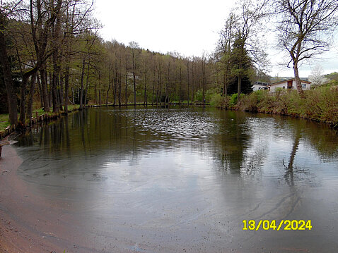 3. Eckhardt-Teiche_13.April_2024