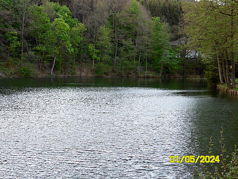 6. Eckhardt-Teiche_01.Mai_2024