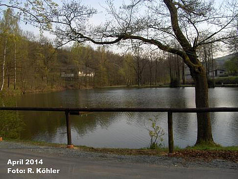 Eckhardt-Teiche April 2014