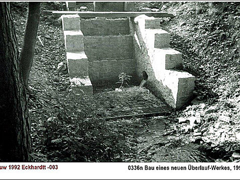 Eckhardt-Teiche 1992